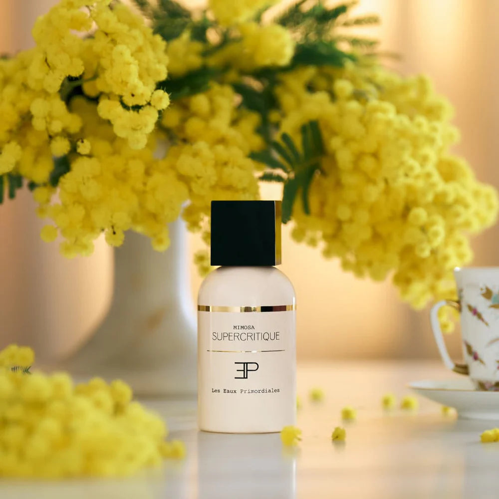 Les Eaux Primordiales - Mimosa EDP