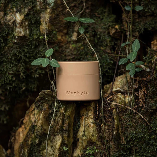 Waphyto - Regena Enriched Cream 50ml