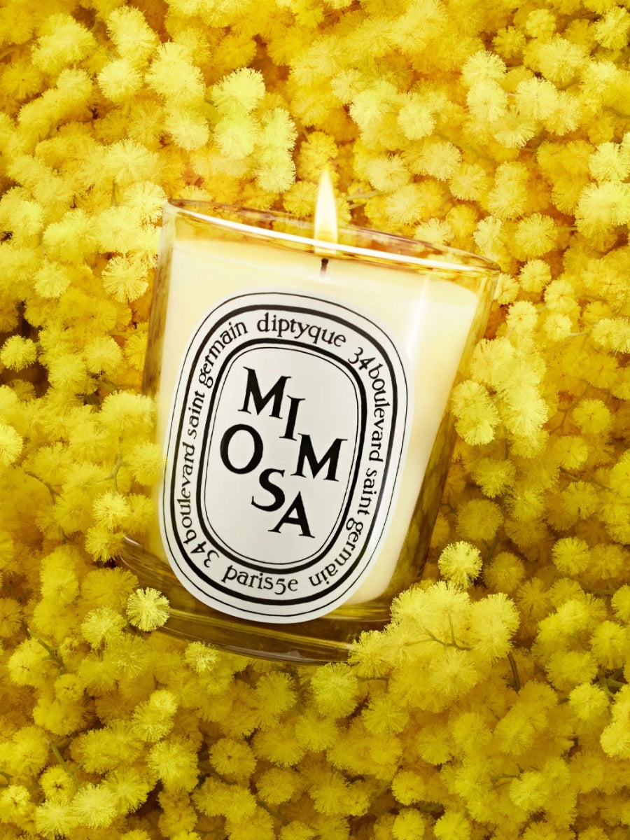 Diptyque Paris - Mimosa Candela