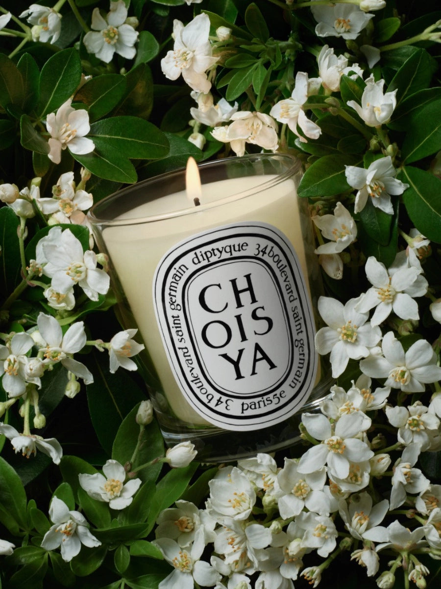 Diptyque Paris - Choisya Candela
