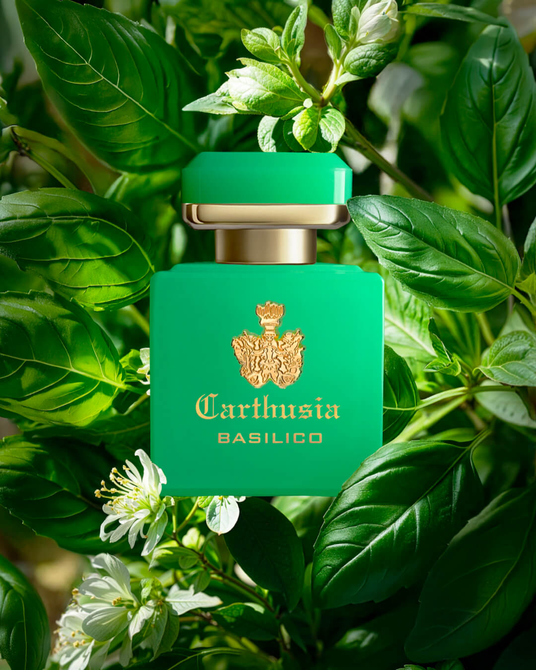Carthusia - Intenso di Basilico EDP