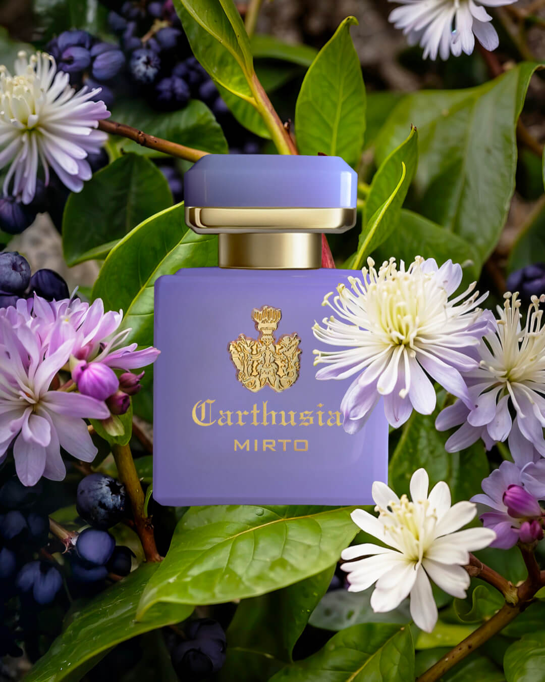Carthusia - Intenso di Mirto EDP