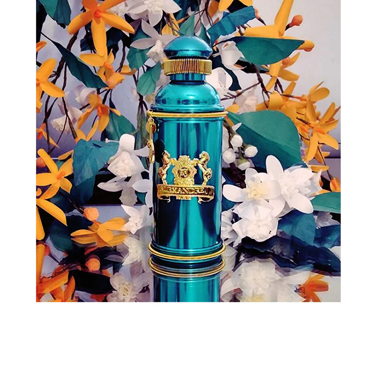 Alexandre J - Mandarine Sultane