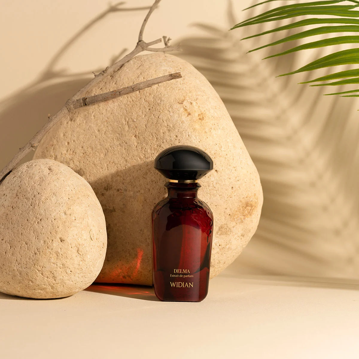 Widian - Delma EDP