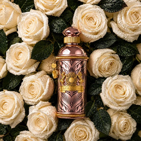 Alexandre J - Morning Muscs EDP