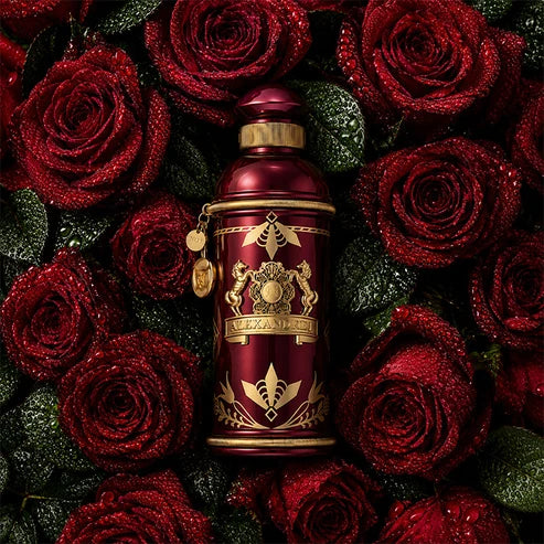 Alexandre J - Rose Alba EDP