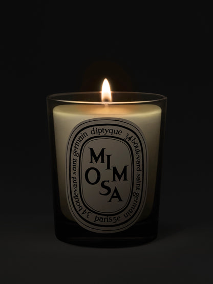 Diptyque Paris - Mimosa Candela