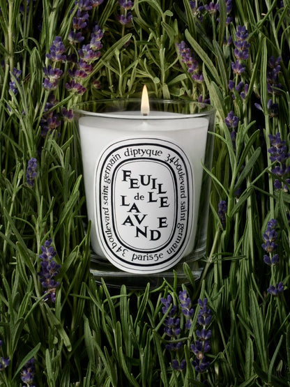 Diptyque Paris - Feuille de Lavande Candela